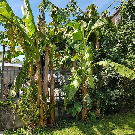 Casa Luigina Nyaraló