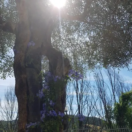 Nyaraló Casa Luigina Vezzola