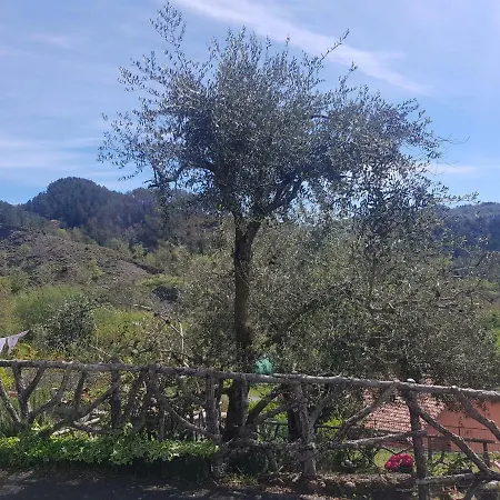 Casa Luigina Holiday home Vezzola